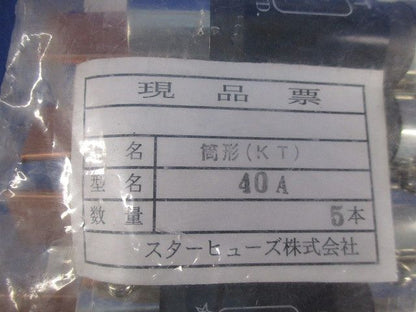 ヒューズ(5個入) 40A