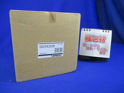 エクステリア LEDポーチライト 高演色 防雨型 下面配光 電球色 黒色 調光器不可 OG254383R