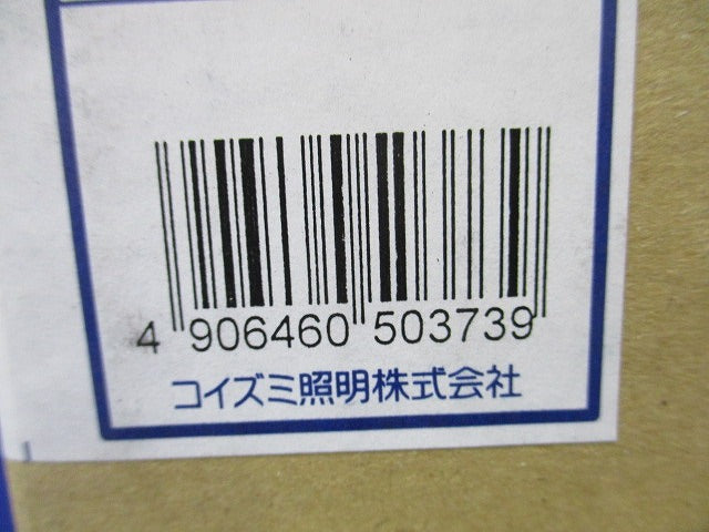 ペンダントライト フランジ 白熱球60W相当 電球色 調光器不可 AP39677L