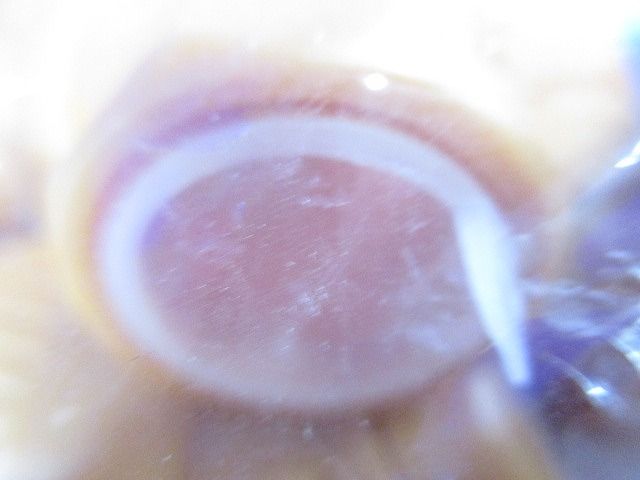 プラフレキ CDコネクタ45 27(呼び22) 10個入 CD-22MHR-10