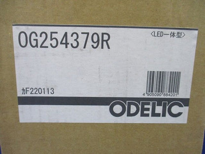 エクステリア LEDポーチライト 高演色 防雨型 上下配光 電球色 黒色 調光器不可 OG254379R