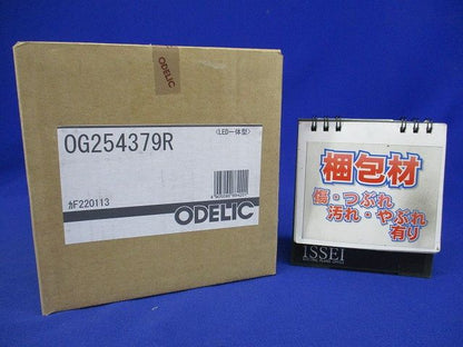 エクステリア LEDポーチライト 高演色 防雨型 上下配光 電球色 黒色 調光器不可 OG254379R