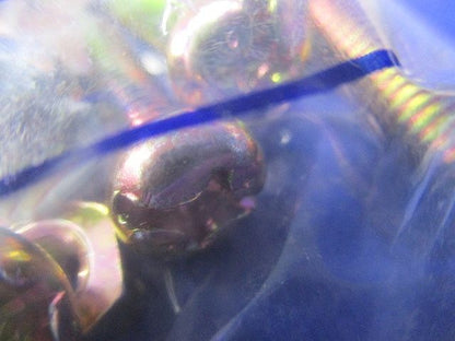 パイラッククリップ(20個入) C-75G-70