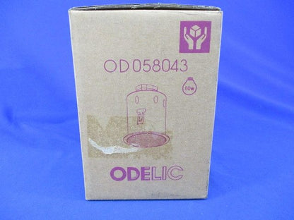 ダウンライト OD058043