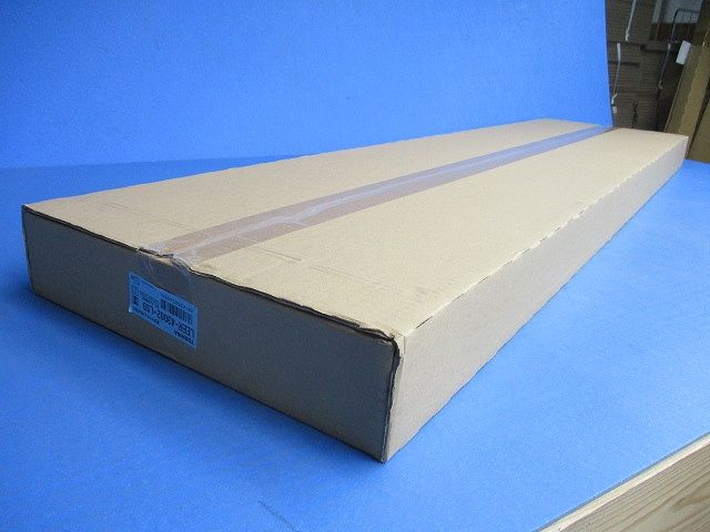 LEDベースライト 40形 埋込 W300 本体のみ(ランプ別売) LEER-43002-LS9