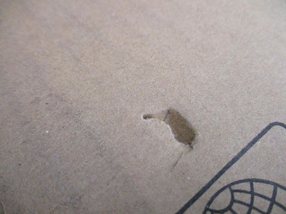 ダクト用換気扇 電圧100V・単相 VD-23ZX12-Z