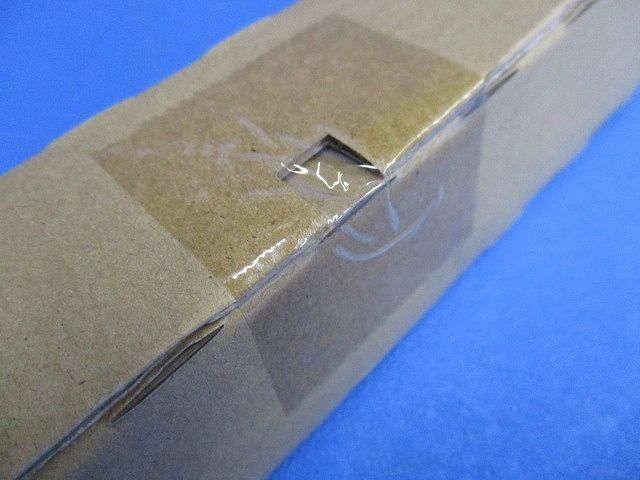 CSLIM本体L1200定格3000K ランプ別売 NNF12031LE1