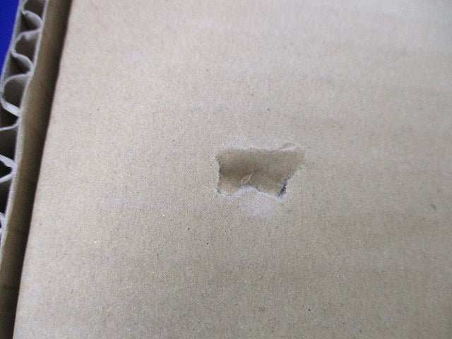 非常用照明器具 2500lm 反射笠付型 2灯用 昼白色 調光不可 NNFG42231LE9