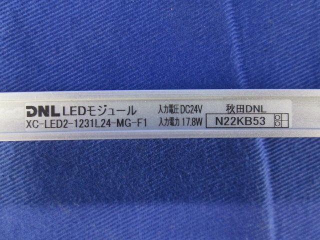 LEDモジュール XC-LED2-1231L24-MG-F1