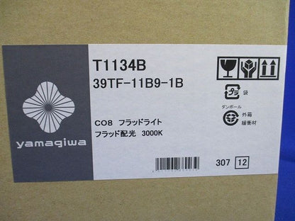 CO8 フラッドライト(フランジ) 電球色 電源付 T1134B