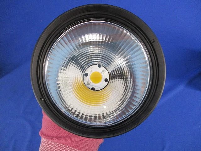 LEDダウンライト XD421002