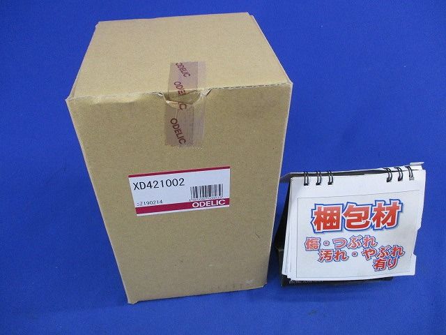 LEDダウンライト XD421002