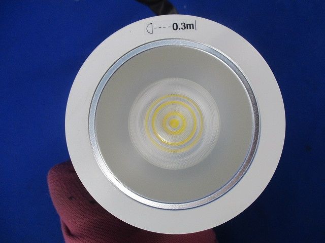 LEDダウンライトφ75(昼白色) NDN28015S