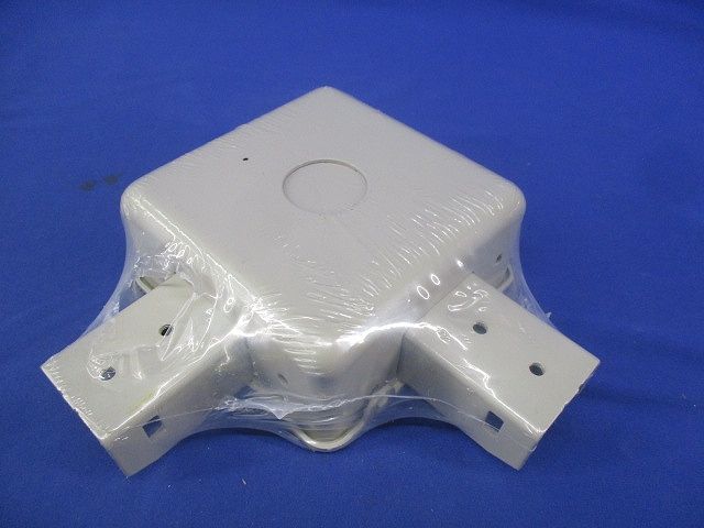 レースウェイ(2個入) P-DB1LN