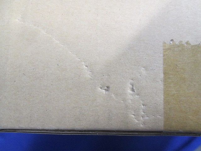 LEDダウンライト 集光シリーズ ユニバーサル 白色 電源別売 EL-D1705W/2W