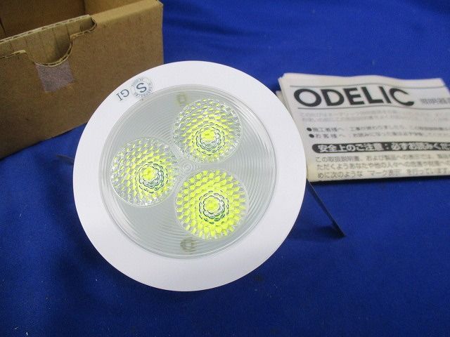 ダウンライト OD250113