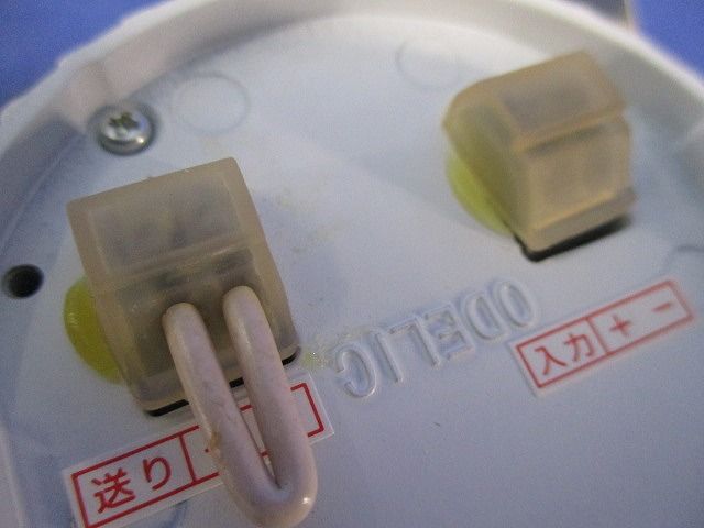 ダウンライト OD250113