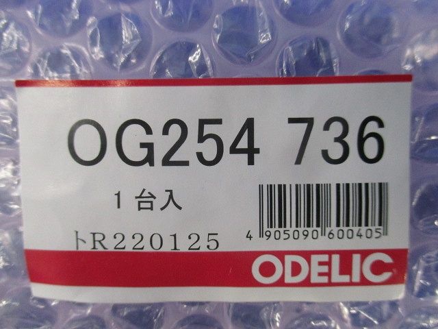 LEDテクステリアライト OG254736