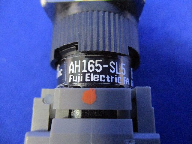 照光押ボタンスイッチ AH165-SL5