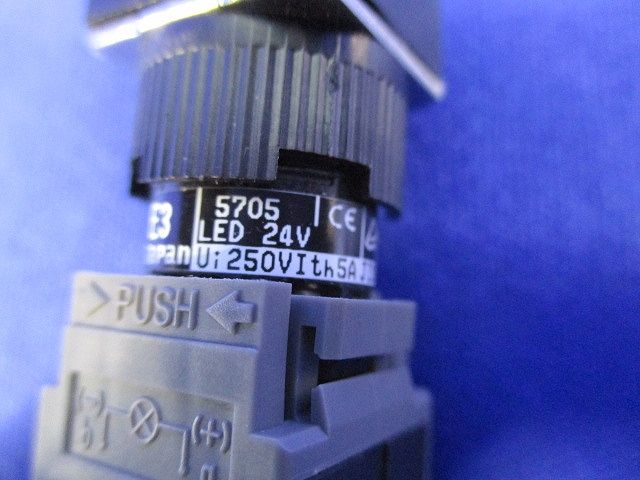 照光押ボタンスイッチ AH165-SL5