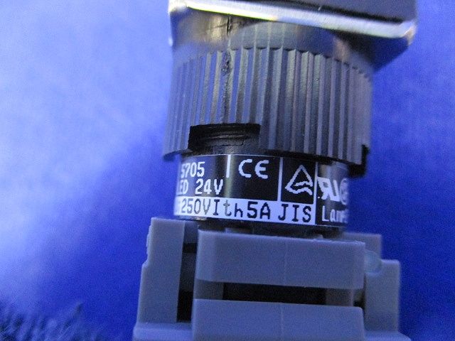 照光押ボタンスイッチ AH165-SL5