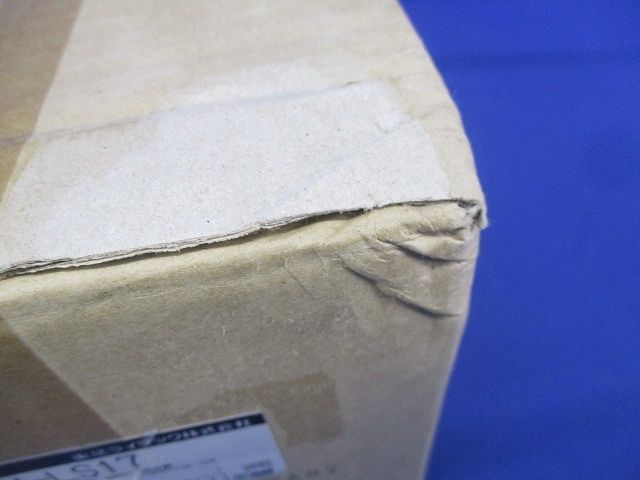 B級BH形天井埋込誘導灯 FBK42621N-LS17