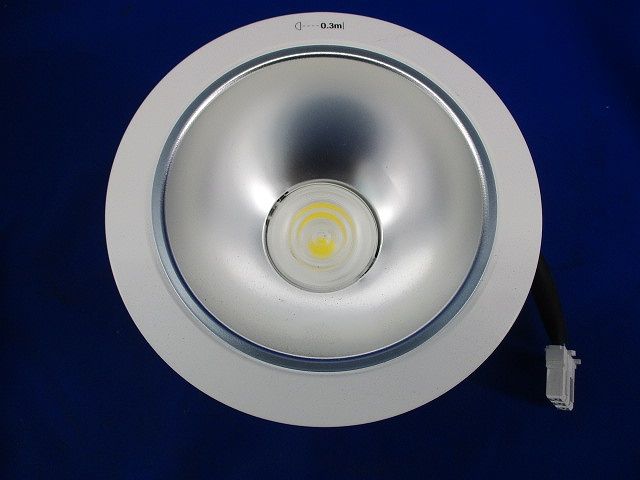 LEDダウンライトφ125(昼白色) NDN28515S