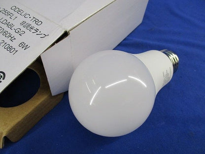LED電球E26 No.255FL1