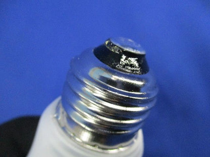 LED電球E26 No.255FL1