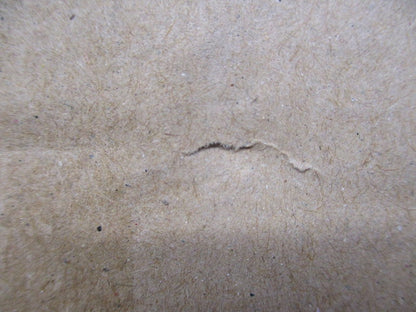 同断面 電源別置型 LED非常用照明器具 反射笠付型 低~中天井用 ホワイト NNLG01517