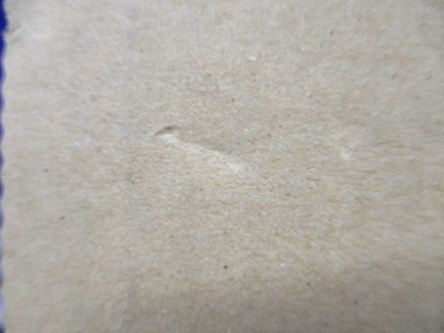 通路誘導灯用適合表示板(左) B級 片面用 FK20066