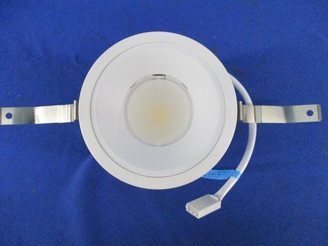 LEDダウンライトφ100(白色) XD156512WW