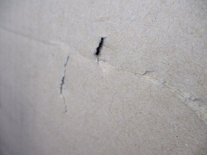 LED(電球色＋昼白色) ブラケット FL40W相当 調光器別売 AB52411