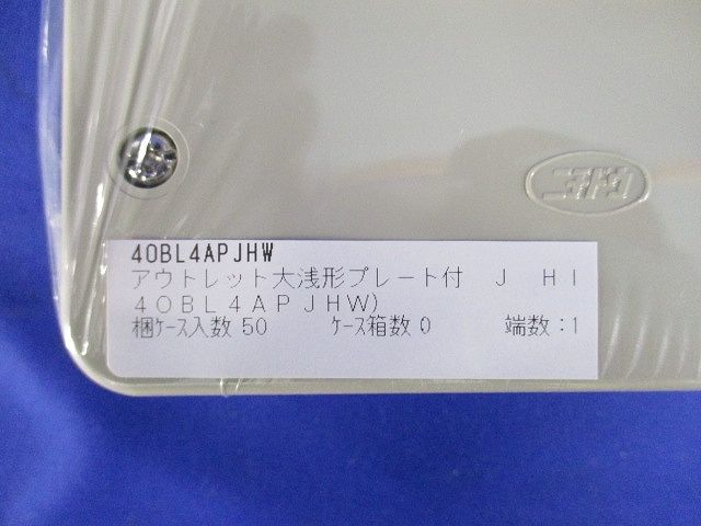アウトレットボックスAタイプ 大浅形 プレート付 4OBL4APJHW