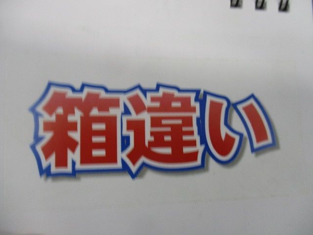 漏電遮断器3P125A(箱違い) EW250JAG