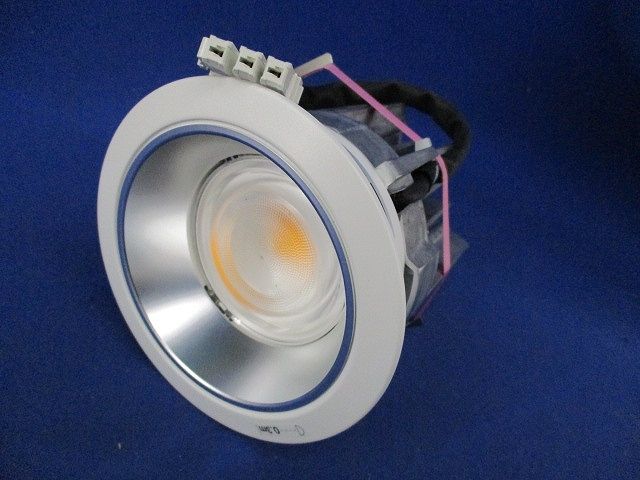 LEDダウンライトφ100(電球色) NDN48308S