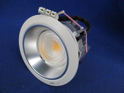 LEDダウンライトφ100(電球色) NDN48308S