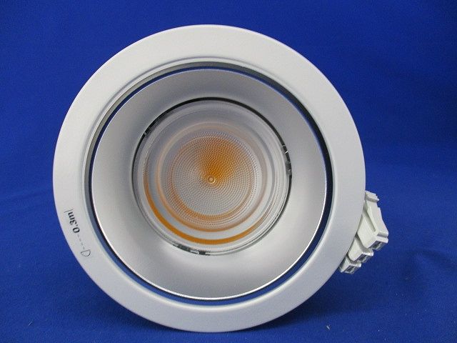 LEDダウンライトφ100(電球色) NDN48308S