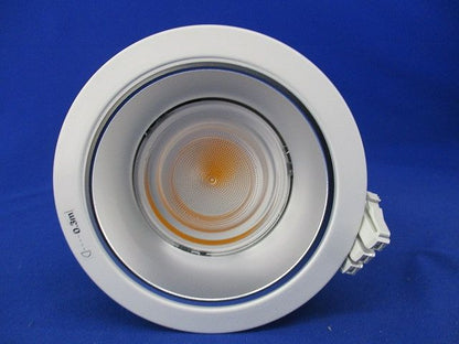 LEDダウンライトφ100(電球色) NDN48308S