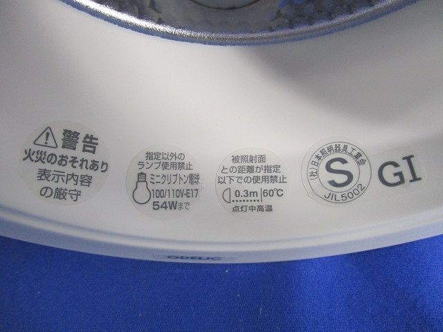 白熱灯ダウンライトφ125 OD062358