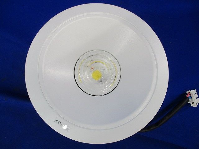 LEDダウンライトφ150(白色)(電源無し)(箱違い) NDN16611
