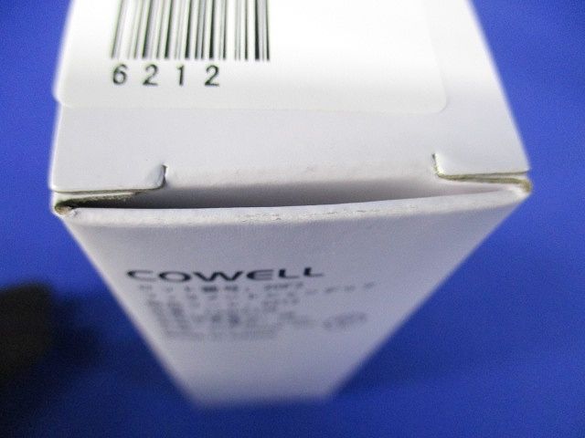 フィラメントシャンデリア形LED E12 2400K FC4FE12E