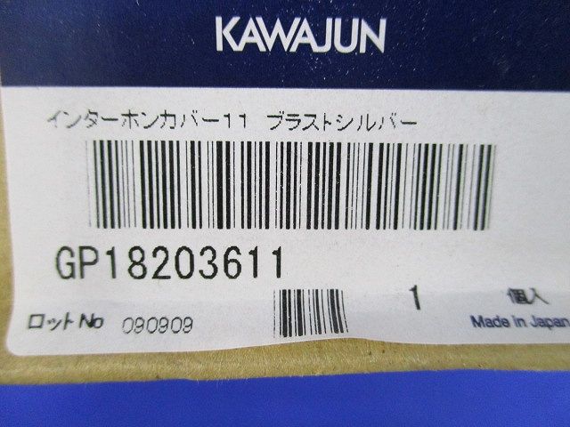 インターホンカバー 戸建て用 ブラストシルバー GP-182-036-11