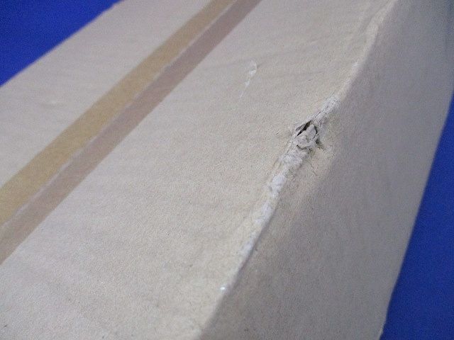 LEDベースライト(ランプ別売)(新品未開梱) NNF21700LT9