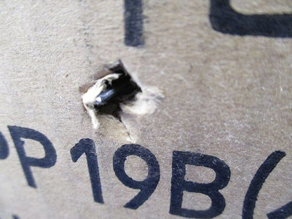 パイピタ19 バインドロング黒 200個入(20個×10) PP19B-200