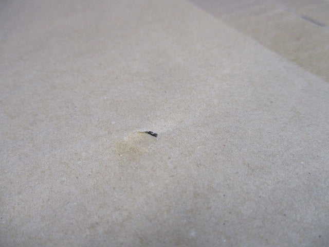 LEDスポットライト 2700K〜6500K 電源内蔵 フィルター・調光器別売 NTS03590BRK1