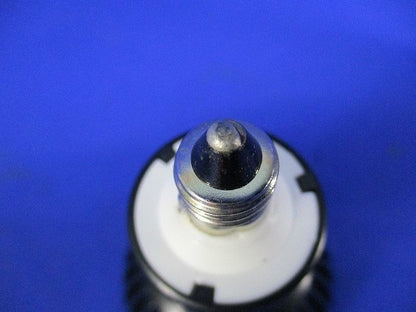ハロゲンLED電球 E11(点灯試験済) LDR5L-M-E11/D/5B-P20