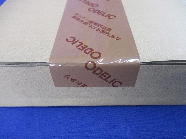 LEDベースライト(本体のみ)(光源ユニット無)(新品未開梱) XL501001