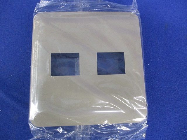 コンセントプレート2コ用(10枚入)(利休色)National WTF7072G