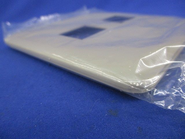 コンセントプレート2コ用(10枚入)(利休色)National WTF7072G